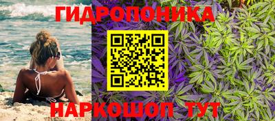стафф Нарткала
