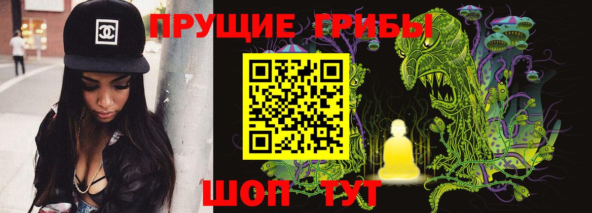 Галлюциногенные грибы прущие грибы Сыктывкар